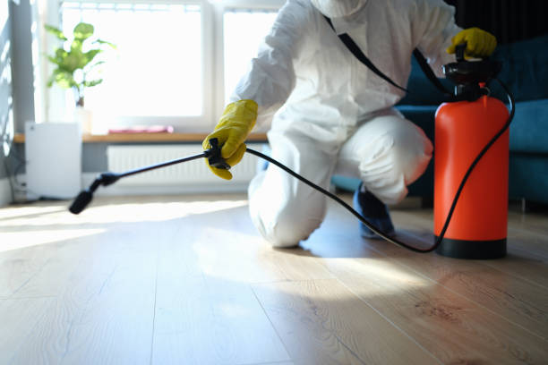 Reliable Odor Removal contractor in Garrison, TX by Trauma Clean Pros